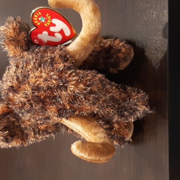 NWT Vintage TY Beanie Babies Giganto Wooly Mammoth DOB 12/17/2000, Tag Attached - Picture 6 of 6